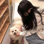 护理我的小公主游戏下载